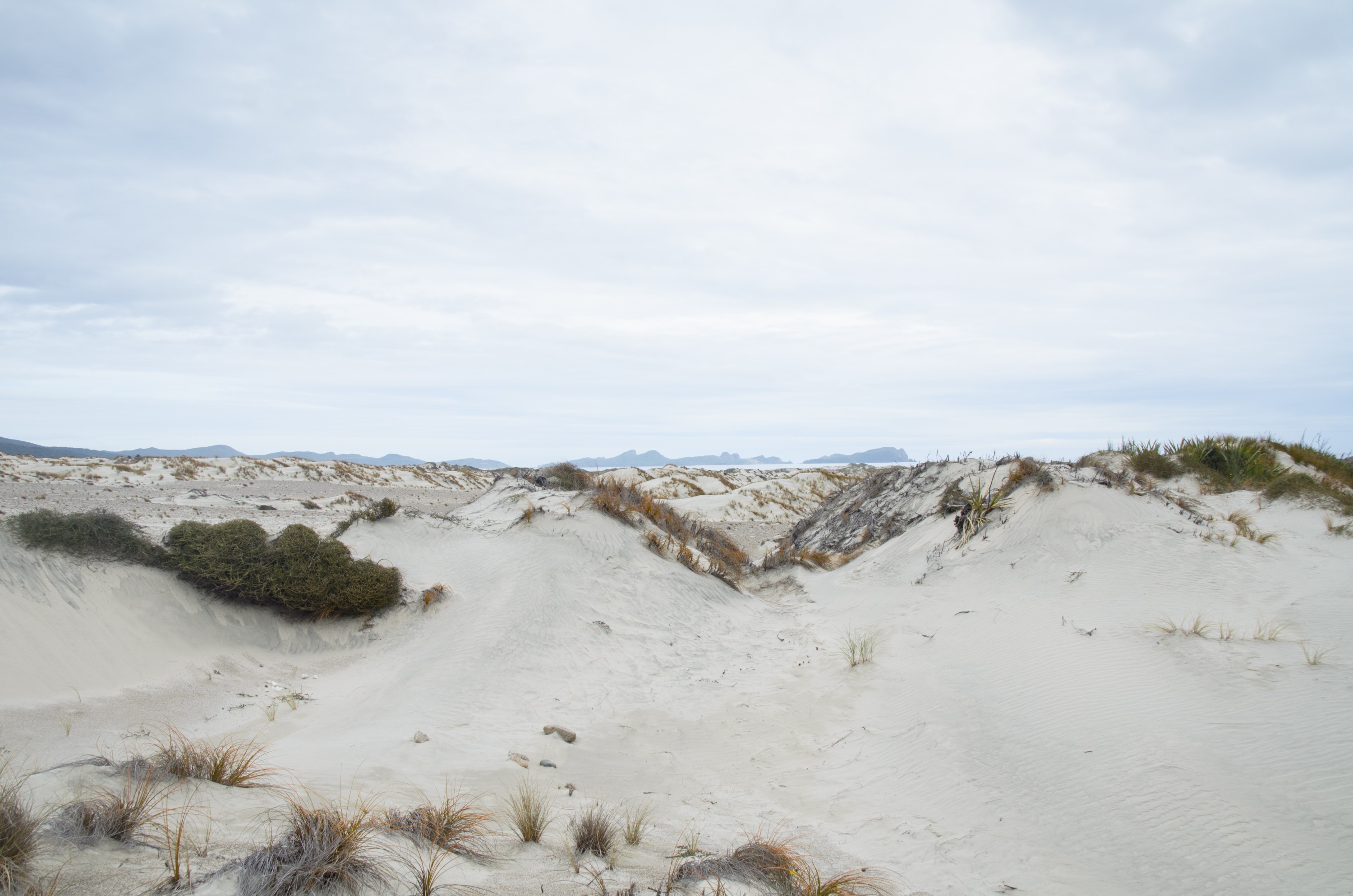 DSC_2081 – Adventure, Bay, Crispin, Island, March 2017, Mason, Mason Bay, National Park, New, New Zealand, Rakiura, South, Stewart, Zealand
